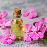 Geranium Oil